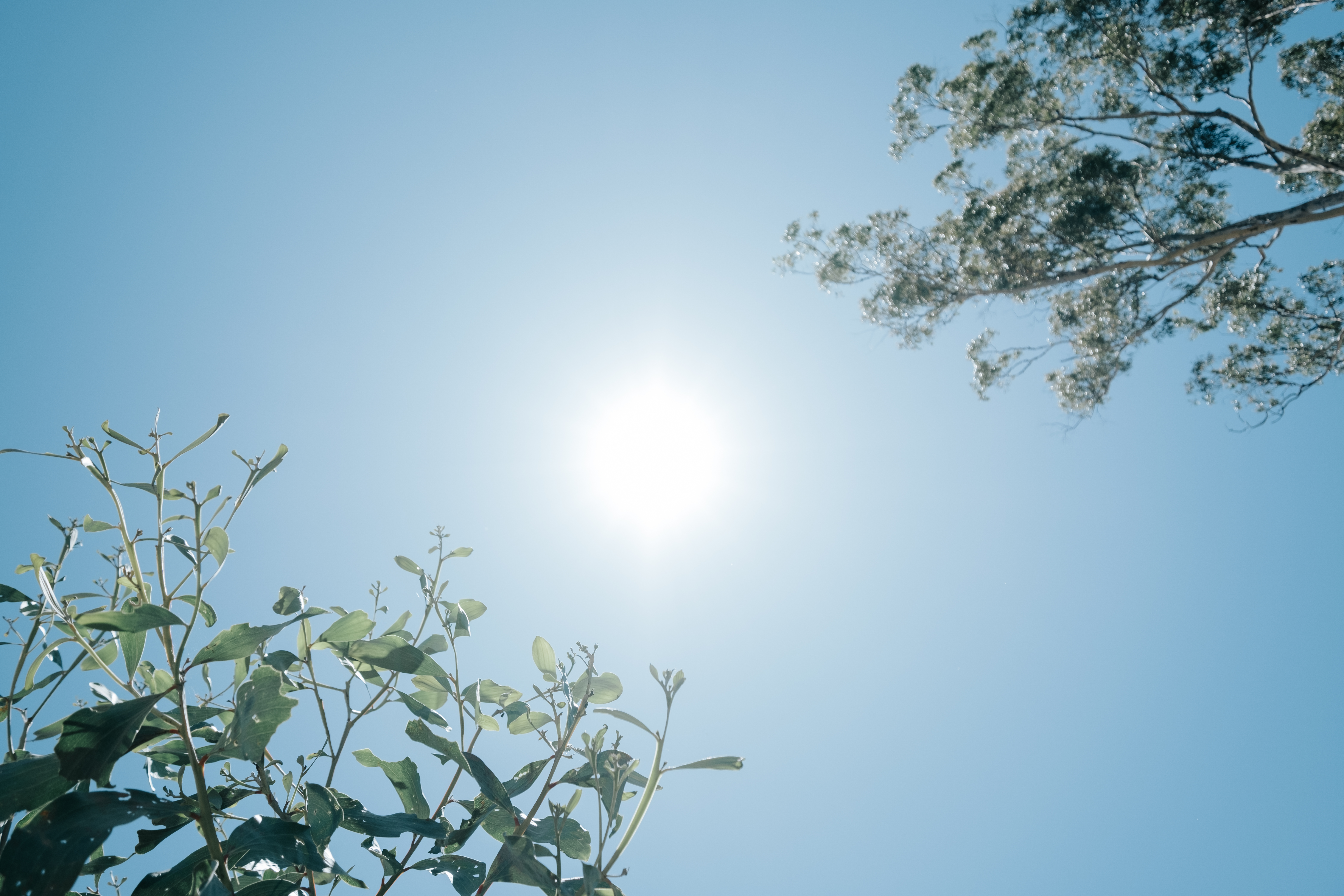 Australia’s Bright Renewable Future